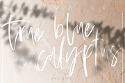 Animated Shadow & Light Overlay, a Texture Graphic by ana & yvy (Thumbnail 11 of 12)