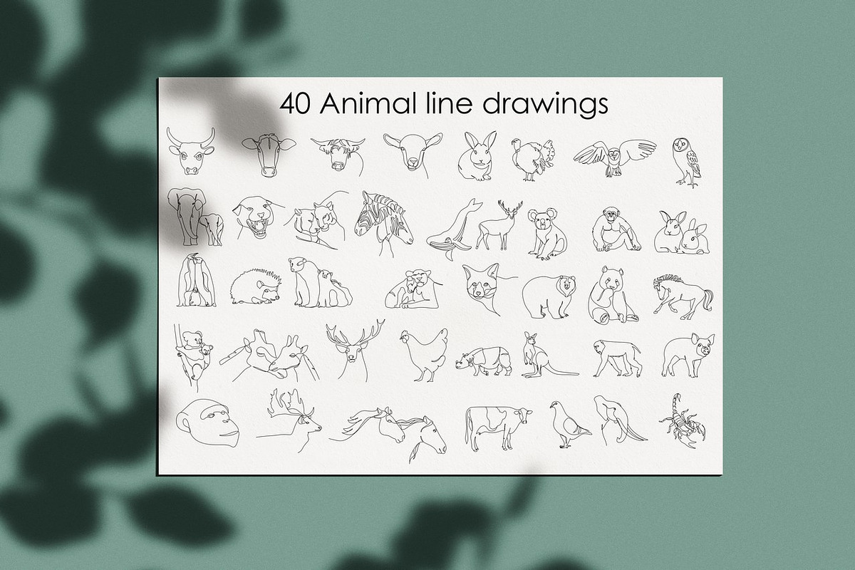 40 Animal vector line drawings, an Animal Illustration by velychko.ua