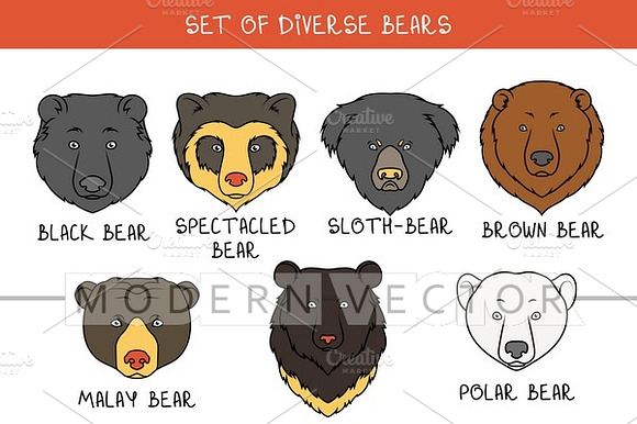 Bears. Funny Animals