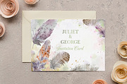 Watercolour Feathers Collection., a Decorative Illustration by VetaDesign (Thumbnail 7 of 8)