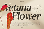 Saffiera - Classy Serif Font, a Serif Font by Flawless And Co (Thumbnail 3 of 10)