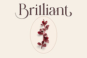 Hattori Elegant Font, a Serif Font by Zane Studio (Thumbnail 3 of 13)