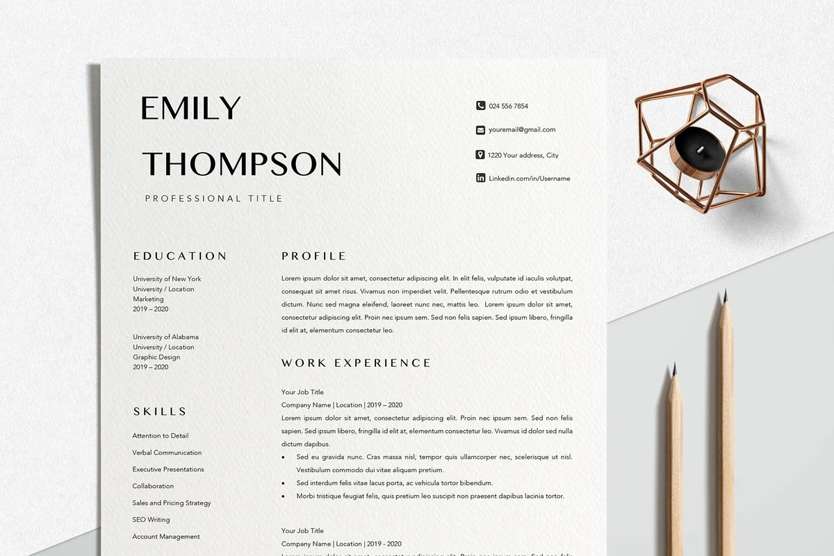 Resume Template Professional, a Resume Template by LucaTheme (Photo 1 of 10)