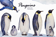 Emperor penguin Watercolor set, an Animal Illustration by Green_leaf_17 (Thumbnail 1 of 2)
