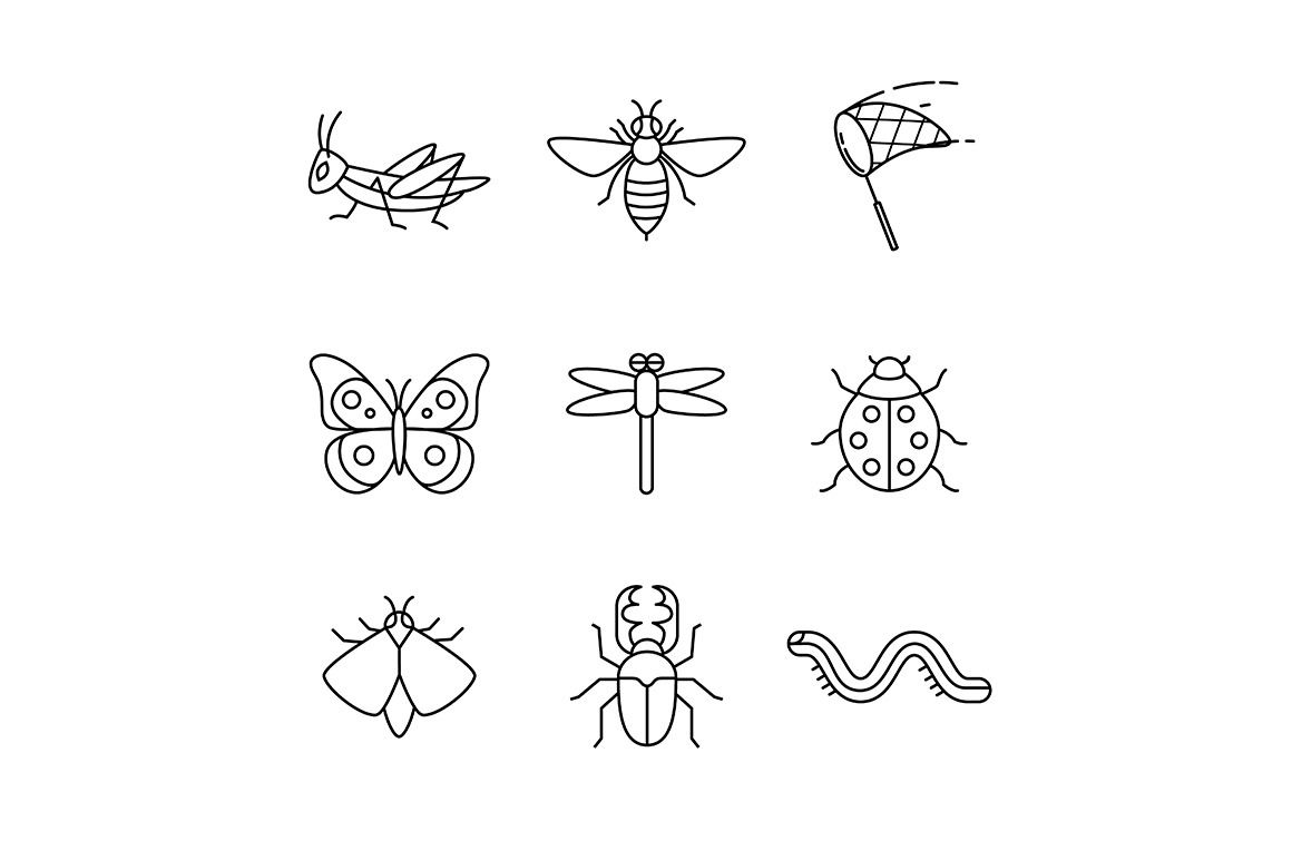 Insects, an Outline Icon by Iconicbestiary