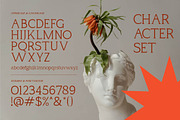 Lugano Creative Serif Font, a Serif Font by Vadovastd (Thumbnail 2 of 7)
