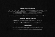 New Florence - Modern Classic Font, a Script Font by HIRO.std (Thumbnail 14 of 15)