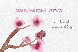 Cherry Blossoms- Watercolor Clipart