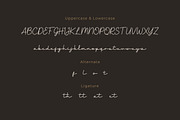 Sharine - Script Monoline Font, a Script Font by twinstd (Thumbnail 5 of 7)