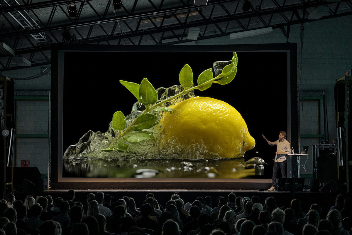 Citrus Art - 25 images, a Food Illustration by Handmadefont (Photo 9 of 10)
