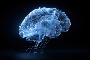 Brain made of light in dark space, a Photo by Beautiful things