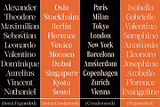 Thalore, a Serif Font by Slex Studio (Thumbnail 10 of 14)
