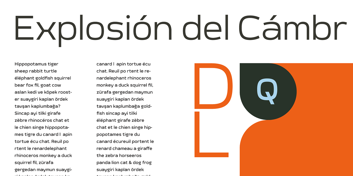 Meguro Sans, a Sans Serif Font by GT&CANARY (Photo 11 of 12)