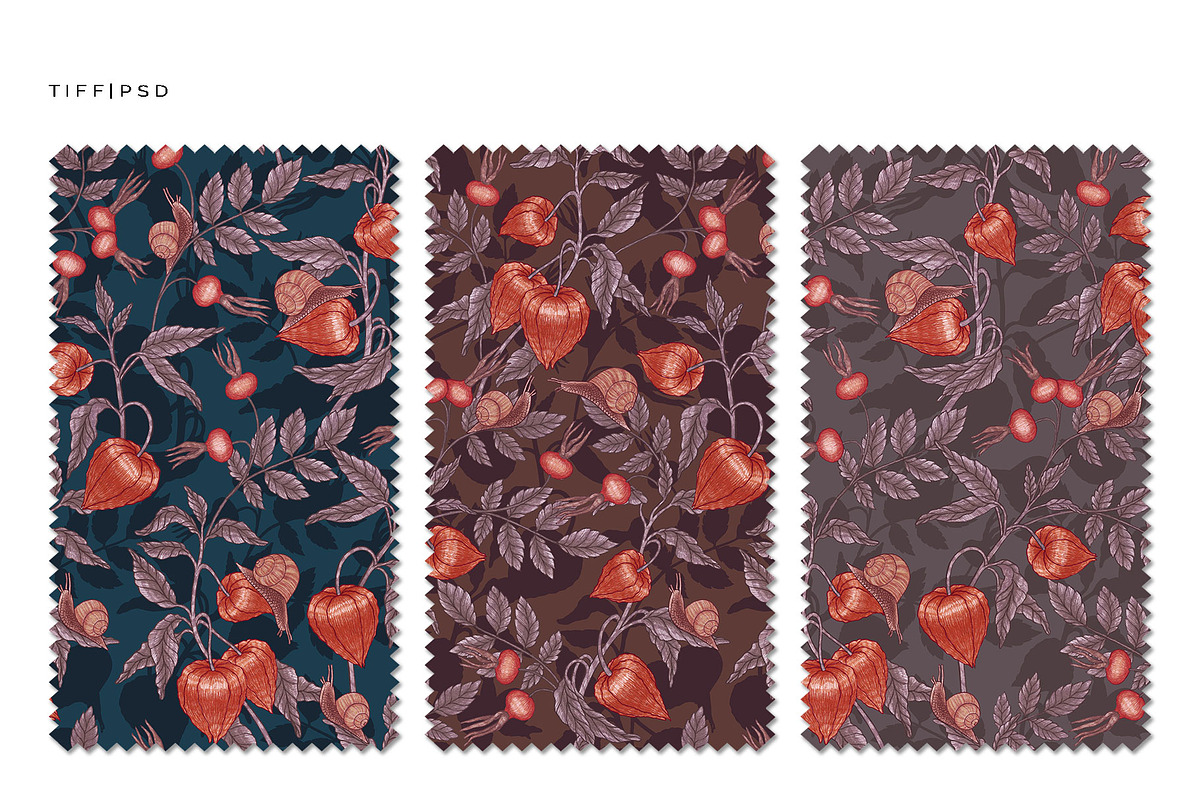 PHYSALIS GARDEN — Botanical Patterns, a Decorative Illustration by Liiafis (Photo 6 of 17)