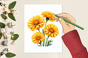 Watercolor Summer Flowers Clipart, a Graphic by designcity5 (Thumbnail 4 of 5)