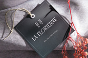 CS Gisele – Modern Font, a Serif Font by Craft Supply Co. (Thumbnail 7 of 8)