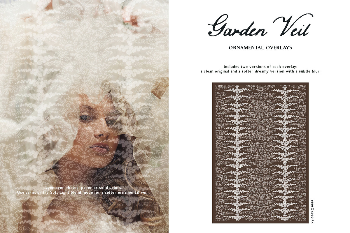 Garden Veil: Lace Overlays, a Texture Graphic by Purple (Photo 6 of 16)
