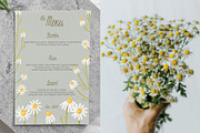 Matricaria Chamomilla Script, a Script Font by Jelena Sardi (Thumbnail 3 of 6)