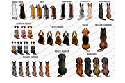 DOG BEST FRIENDS Clipart PNG, Family, a Person Illustration by Podcliparts (Thumbnail 2 of 6)