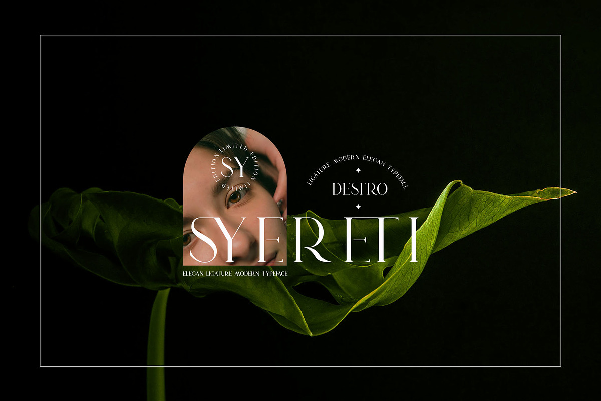 DESTRO Ligature Serif Font, a Serif Font by Humaira_std (Photo 5 of 8)