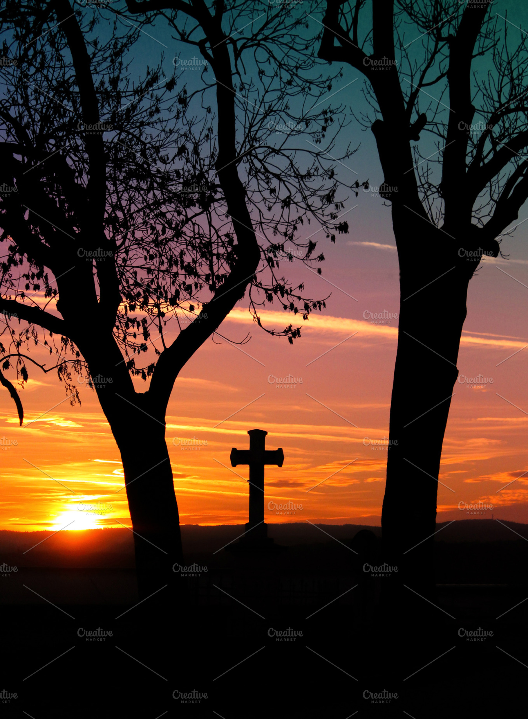 Crisis in the country, a Nature Photo by Tomas Luka