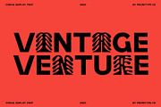 Corail Display Font - Tropics Font, a Sans Serif Font by Prioritype Co (Thumbnail 9 of 11)