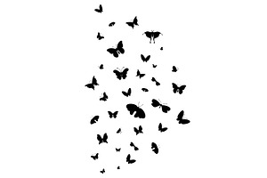 Isolated Flying Butterflies Poster