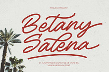 Betany Salena Monoline Brush Font