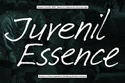Ammer Handwriting, a Handwritten Font by Schriftlabor (Thumbnail 13 of 14)
