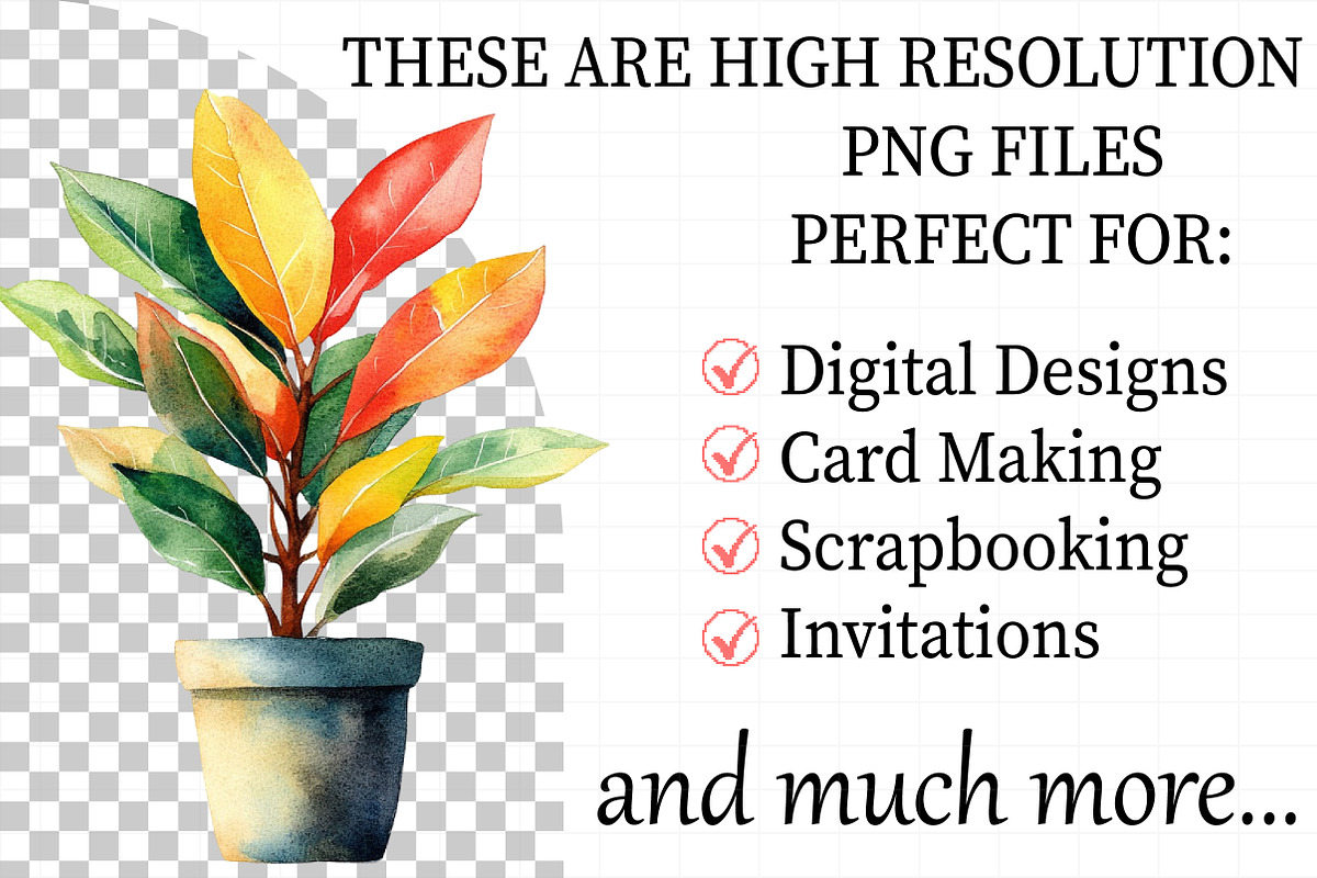 Watercolor Home Plants Clipart, an Illustration by Daily.Designs (Photo 2 of 8)