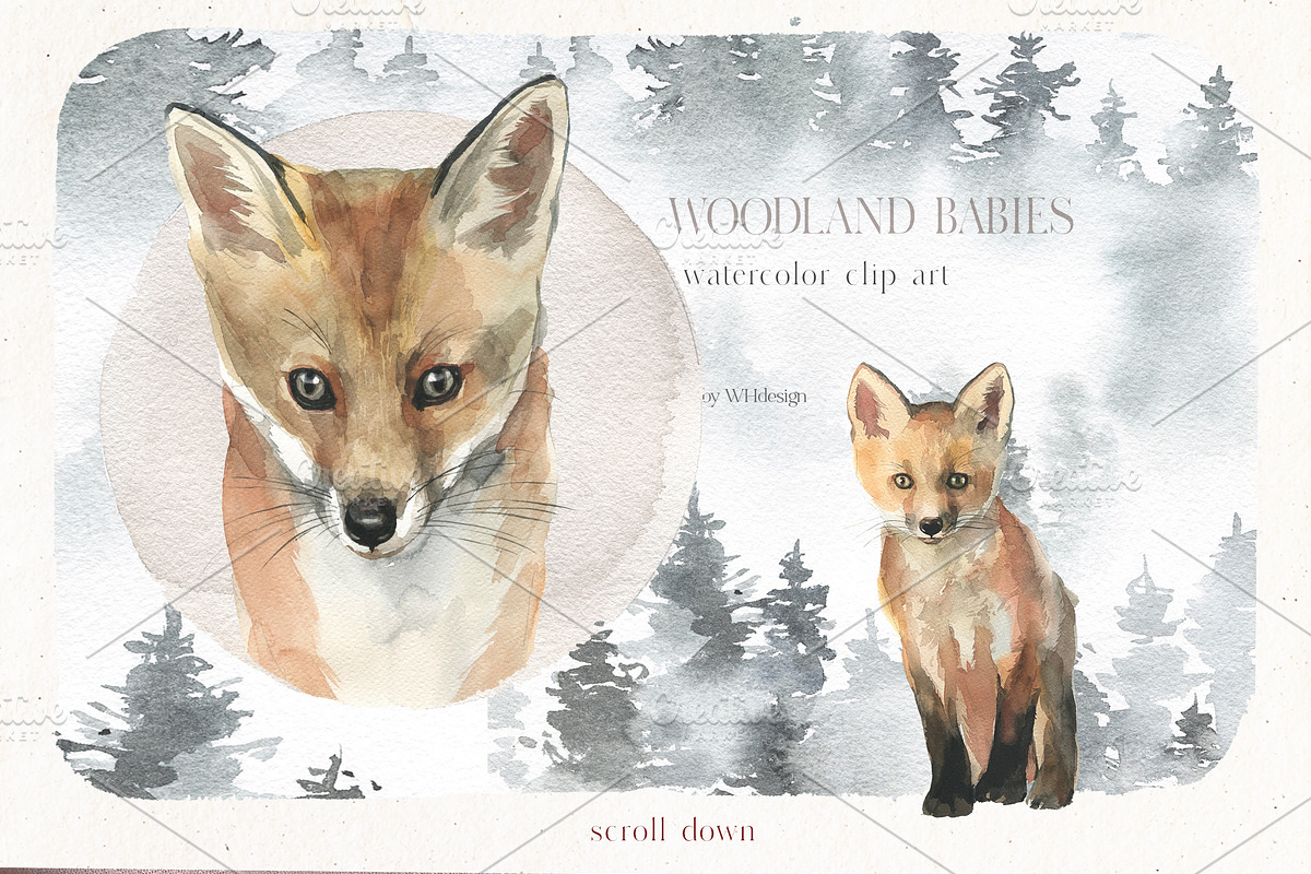 Woodland Babies Wild Animals Clipart, an Animal Illustration by whiteheartdesign (Photo 2 of 28)