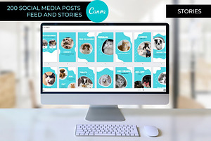 PETS INSTAGRAM FEED AND STORIES