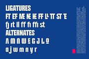 Hoverion - Sans & Signature Font Duo, a Sans Serif Font by Variatype (Thumbnail 10 of 12)