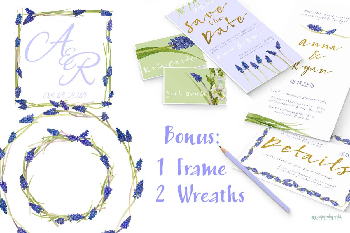Grape Hyacinths_Blue Spring, an Illustration by watercolorwild.graphics (Photo 3 of 8)
