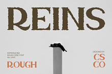 Reins Rough