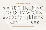 Suliway - Display Serif Font, a Serif Font by StringLabs (Thumbnail 10 of 10)