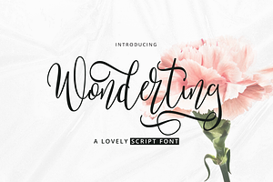 Wonderting Script