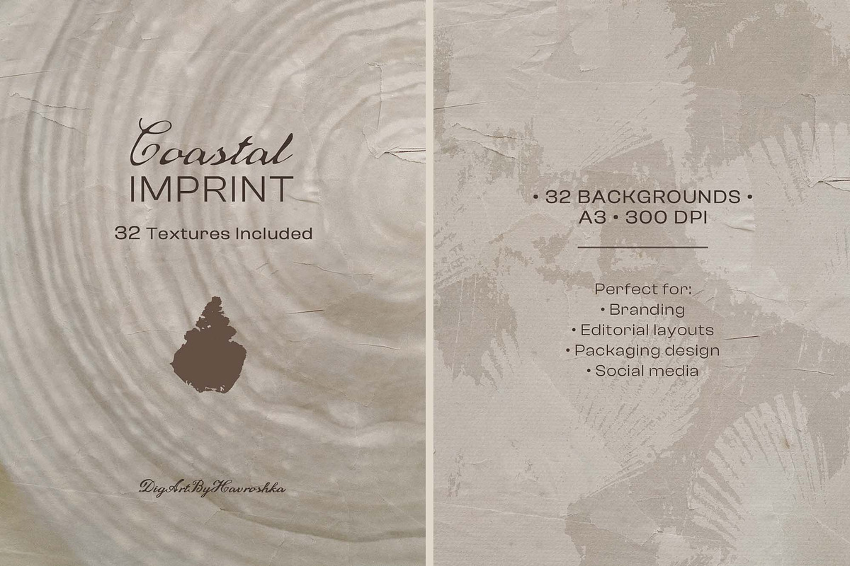 Shell Imprint textures, a Background Graphic by DigARTbyHavroshka (Photo 7 of 12)