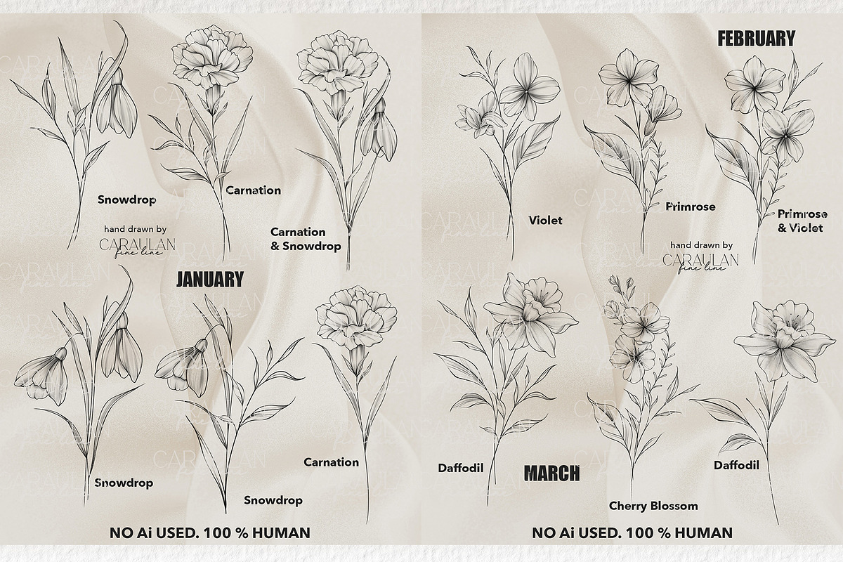 Birth flowers fine line (Half year), a Brush Add-On by CaraulanStore (Photo 2 of 5)