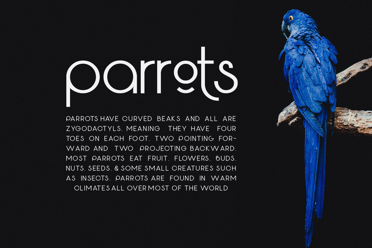 Geotype, a Sans Serif Font by Say Studio (Photo 6 of 13)