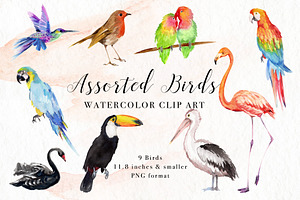 Sale- Birds Watercolor Clip Art, an Illustration by Art by Lin