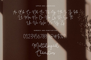 Camelia Boutique - Calligraphy Font