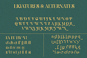 Violetta Estrada - Elegant Luxury, a Serif Font by Qweera Studio (Thumbnail 11 of 12)