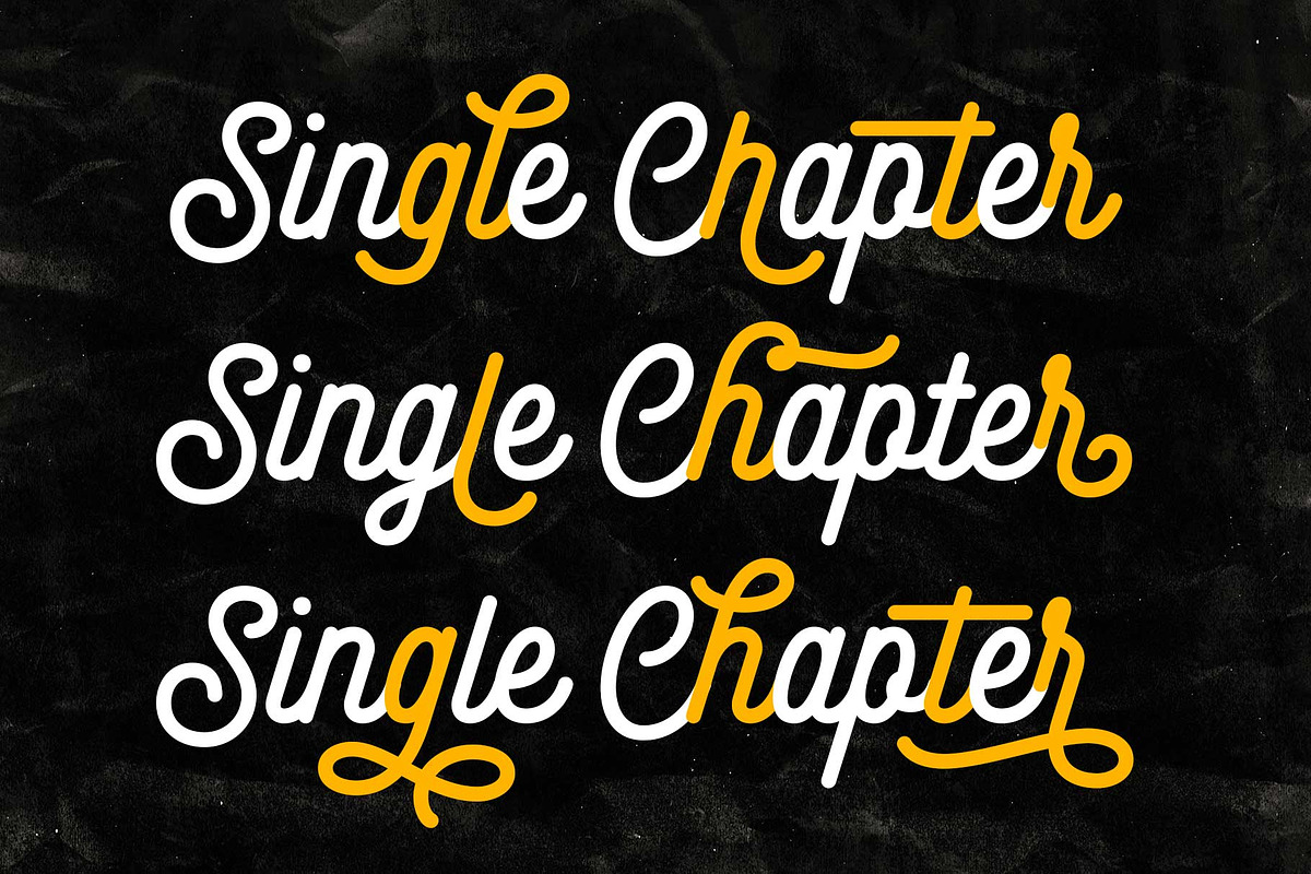 Monoline Script - Shadenia, a Script Font by Novitype (Photo 7 of 13)