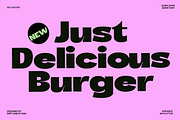 Dx Lactos - Quirk Font Variable, a Sans Serif Font by Dirtyline Studio (Thumbnail 8 of 17)