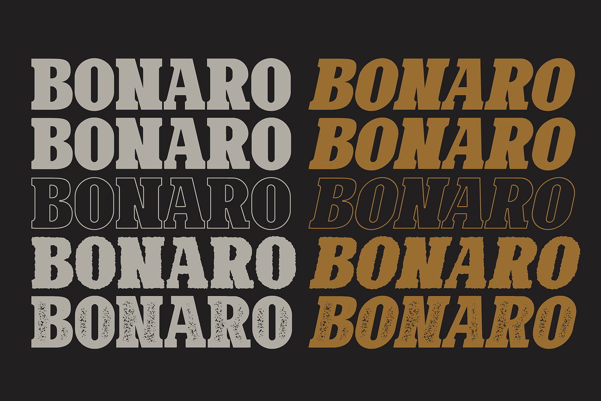 10 Font - Bonaro Font Family preview 5