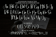 Winter Diary, a Handwritten Font by InermediaSTUDIO (Thumbnail 5 of 8)