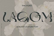 Modern Trend Font Bundle, a Serif Font by Laras Wonderland (Thumbnail 17 of 25)