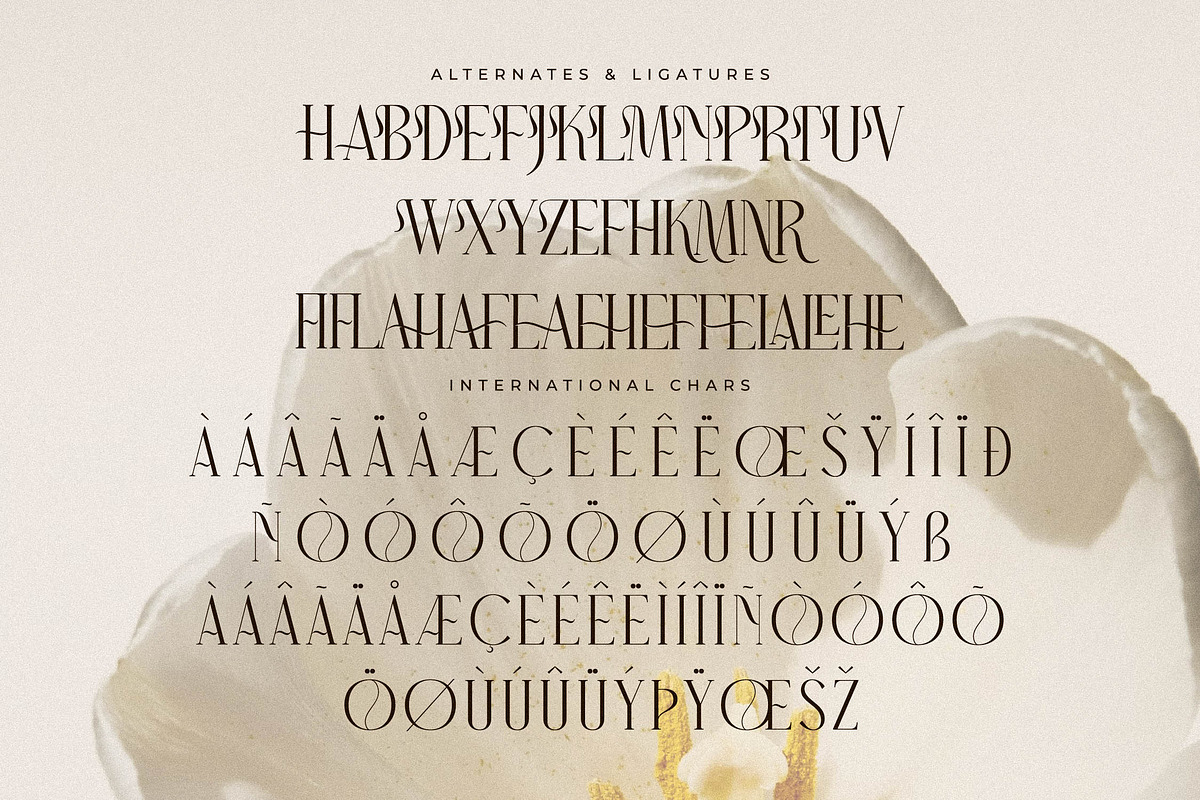 Narque Holden Gold Font Duo, a Serif Font by Storytype Studio (Photo 12 of 15)