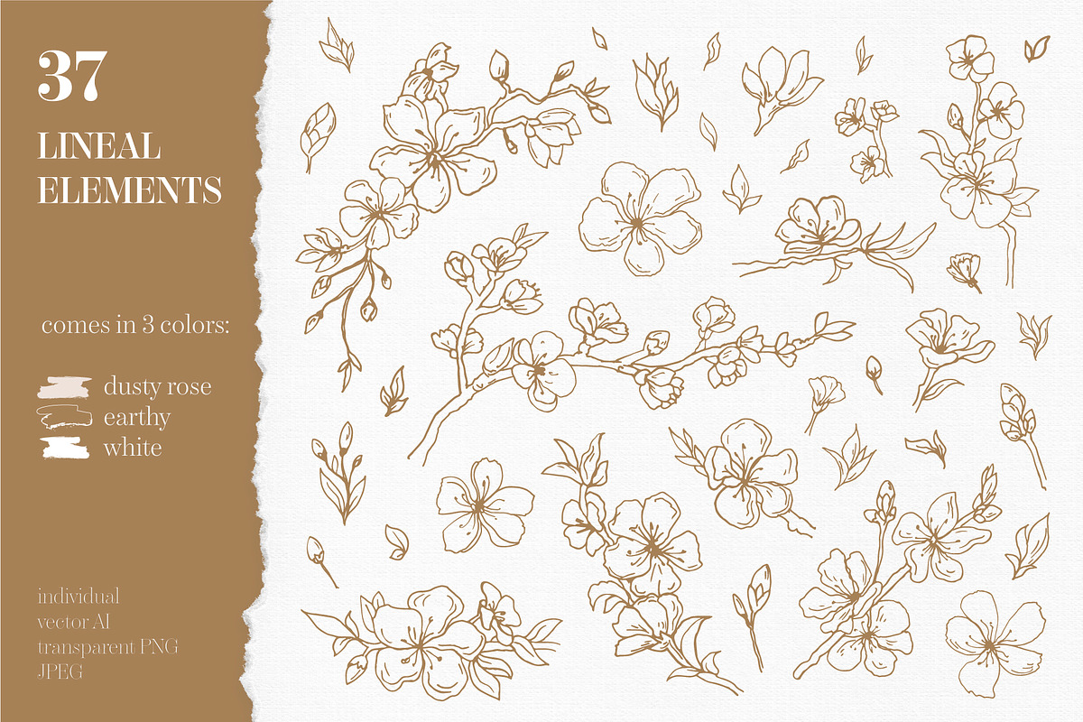 Cherry Blossom graphic set, an Illustration by EkaterinaKiriy (Photo 2 of 13)